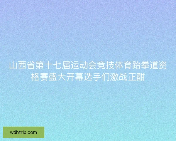 山西省第十七届运动会竞技体育跆拳道资格赛盛大开幕选手们激战正酣